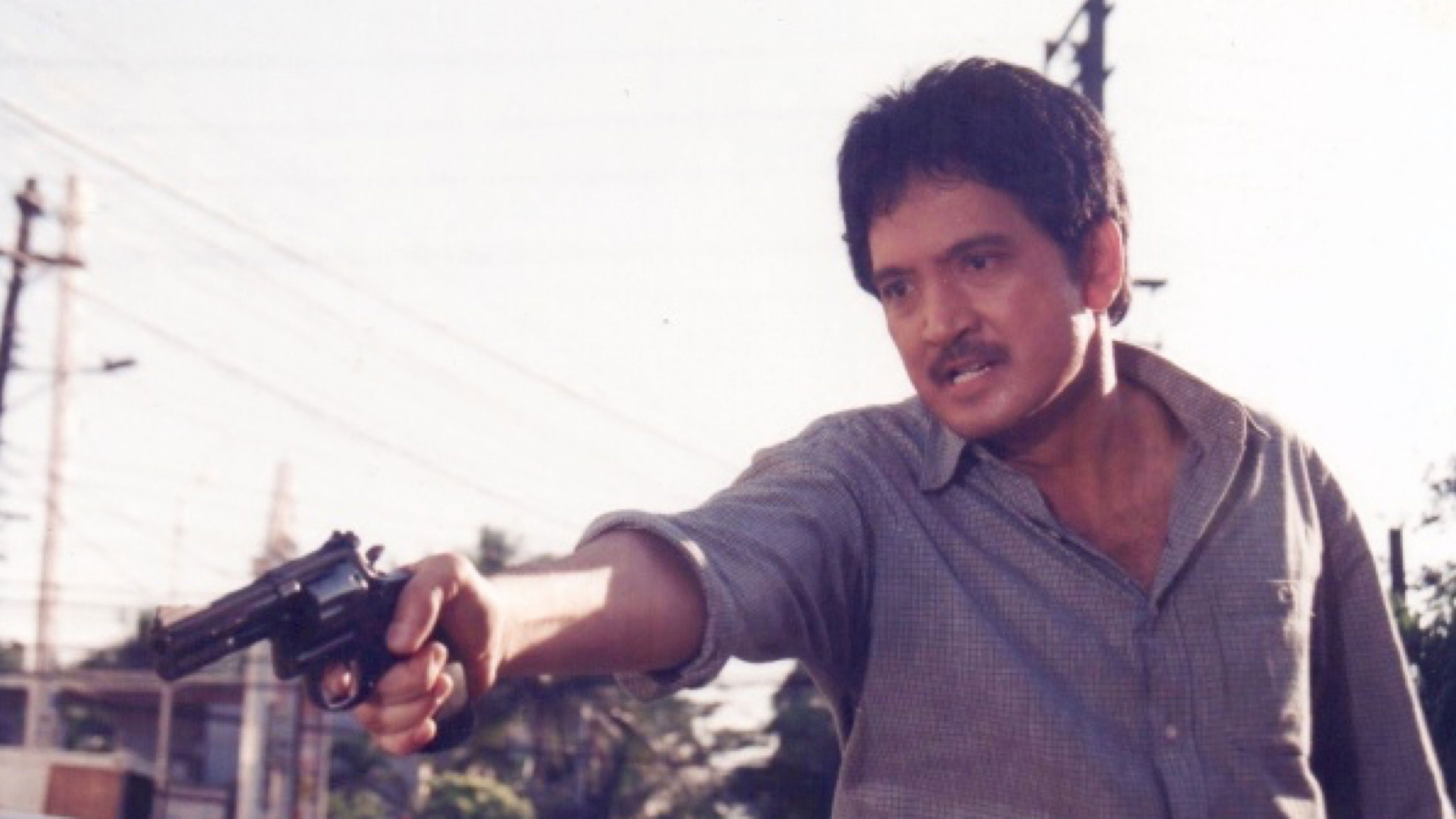 Backdrop for Birador