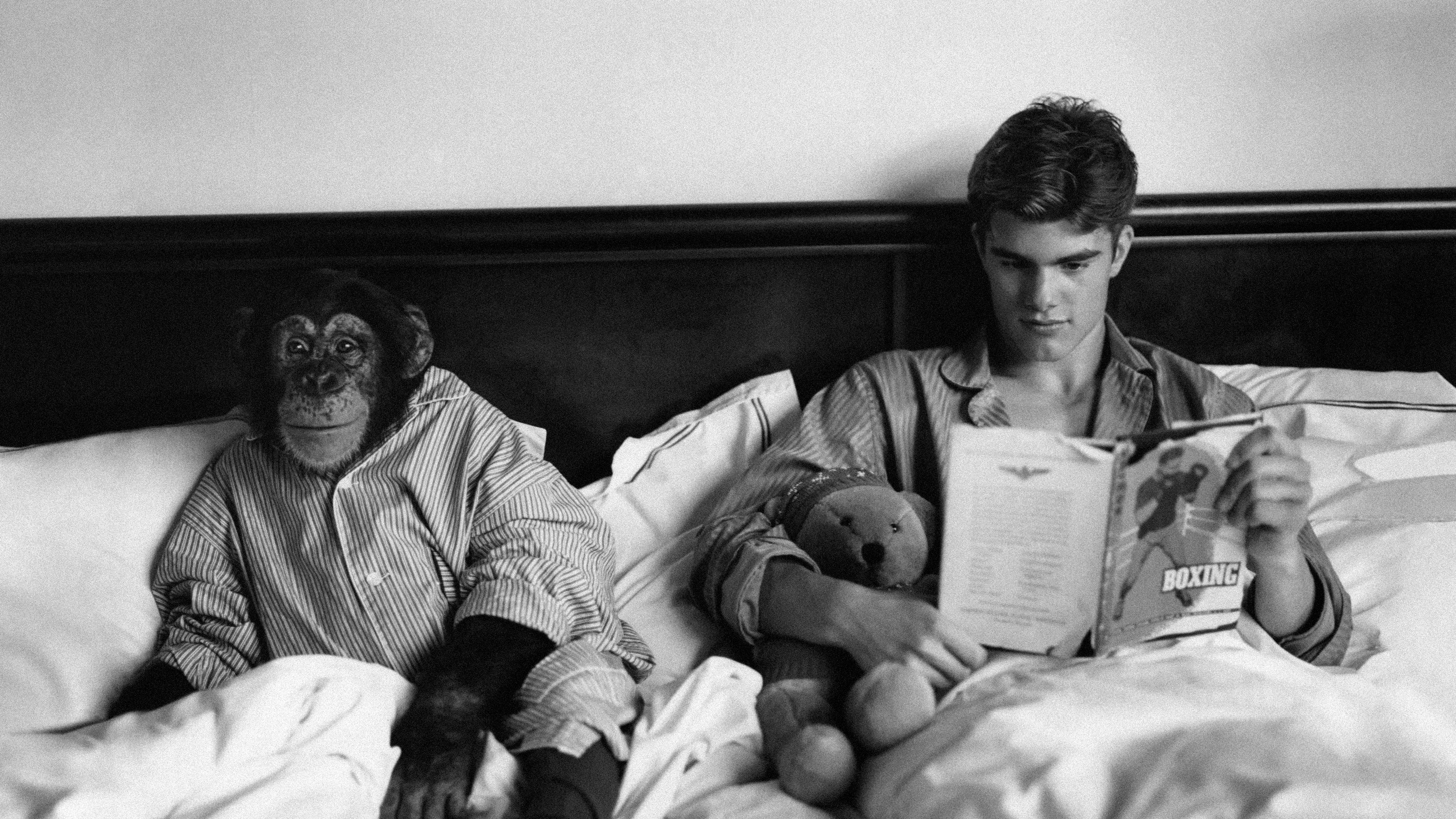 Backdrop for Chop Suey