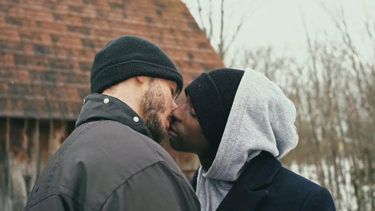 Backdrop for The Housesitter