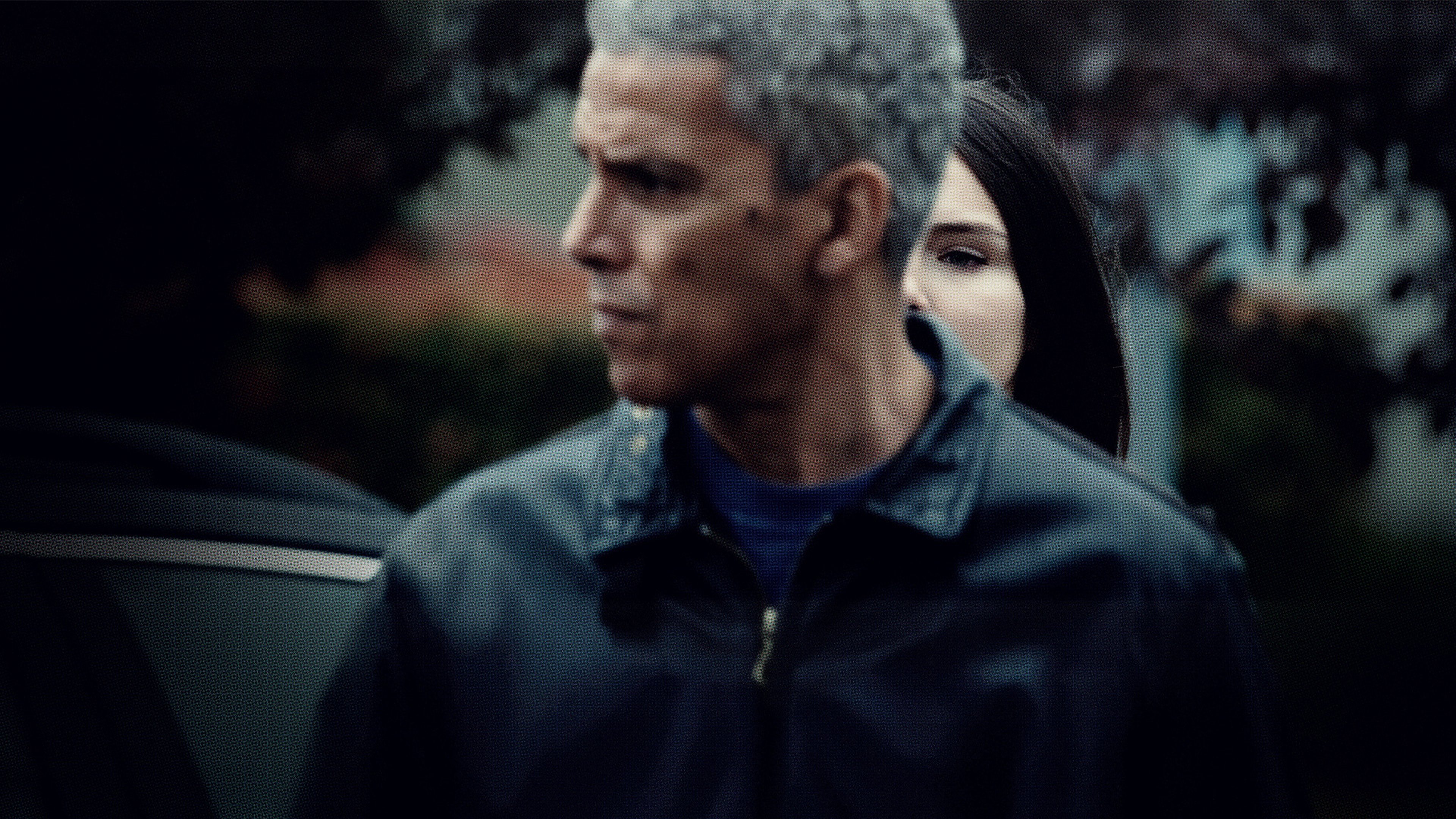 Backdrop for Vultures