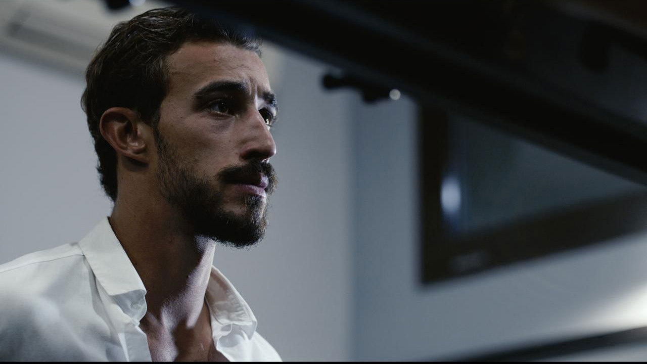 Backdrop for Dinosaurs