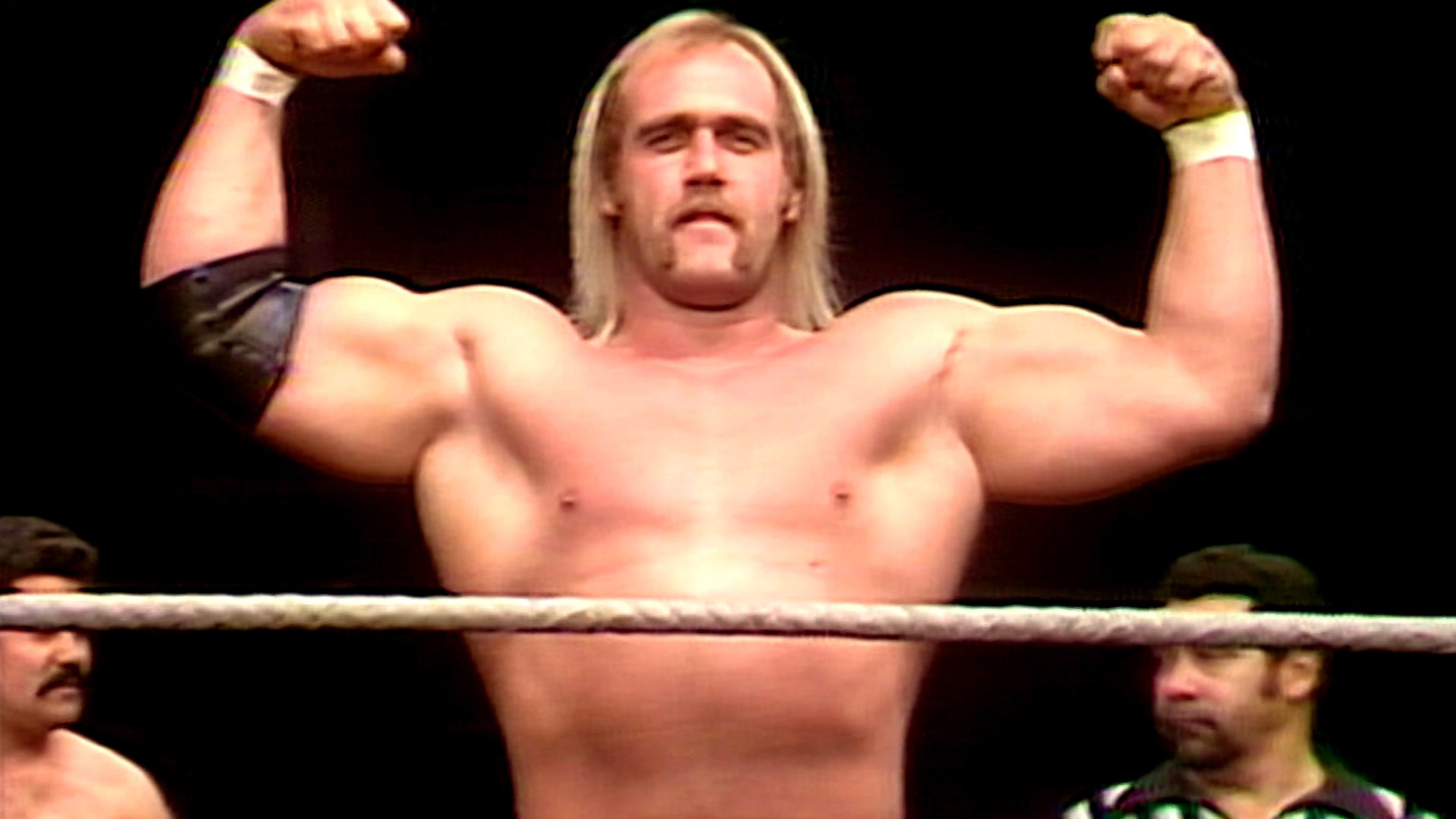 Backdrop for WWF All-Star Wrestling