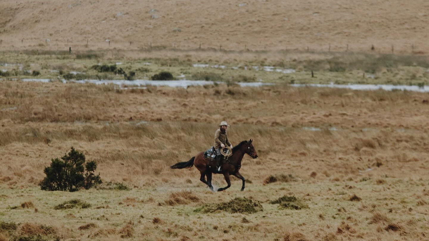 Backdrop for The Dartmoor Cowboy