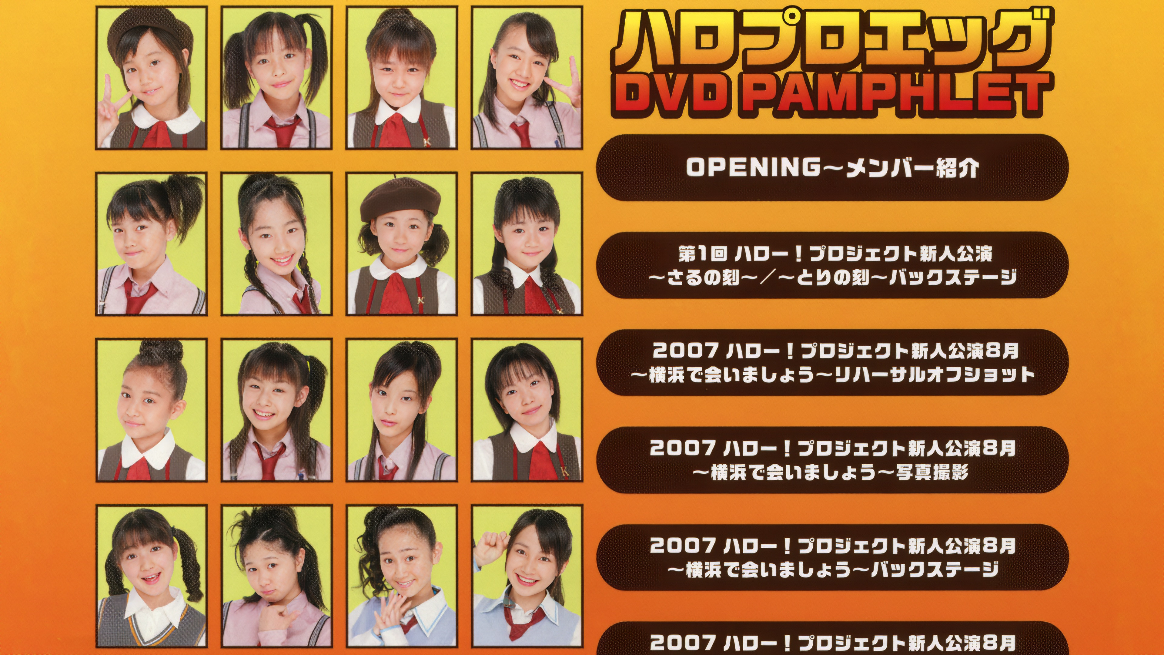 Backdrop for Hello Pro Egg DVD Pamphlet