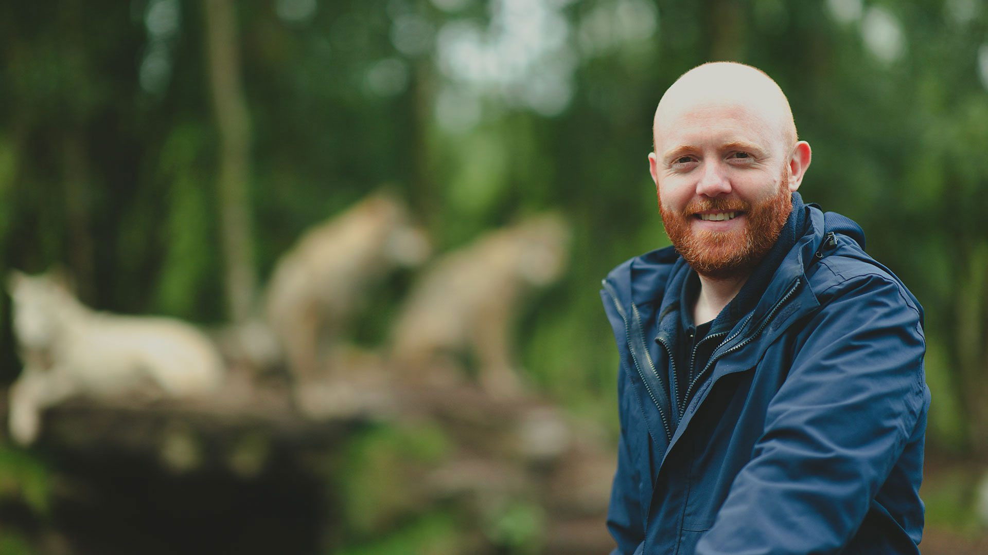 Backdrop for Barra's Wild Days Out