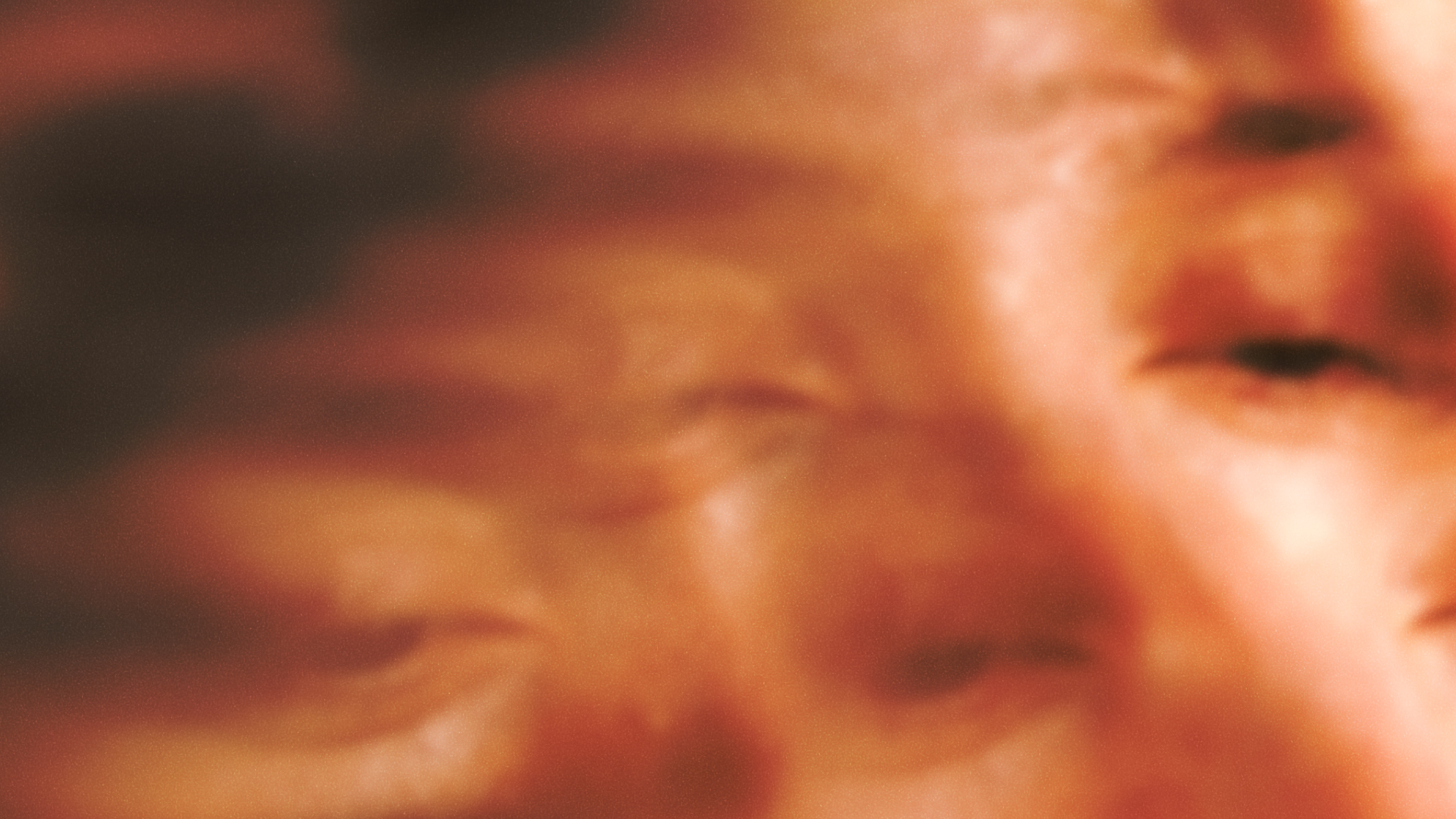 Backdrop for Son of Sauna