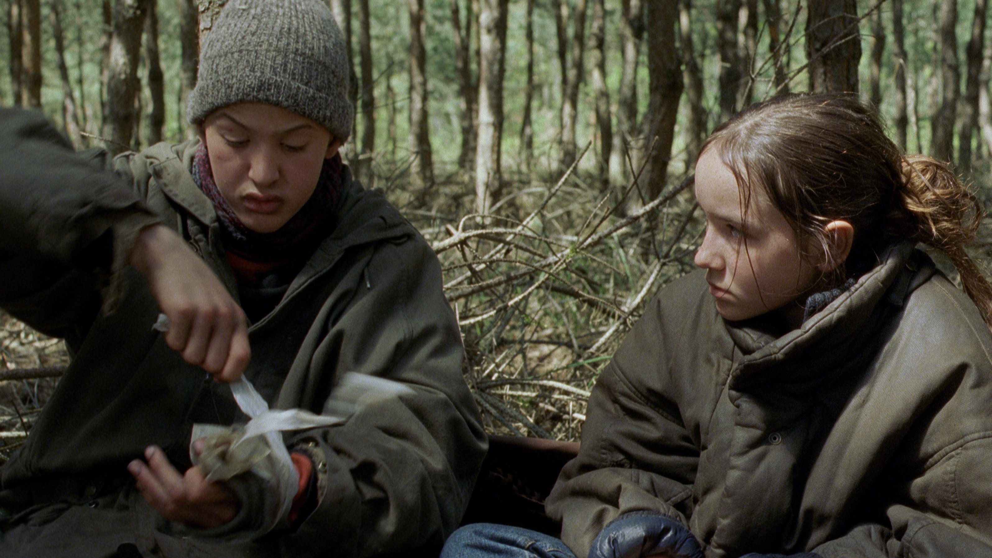 Backdrop for Time of the Wolf