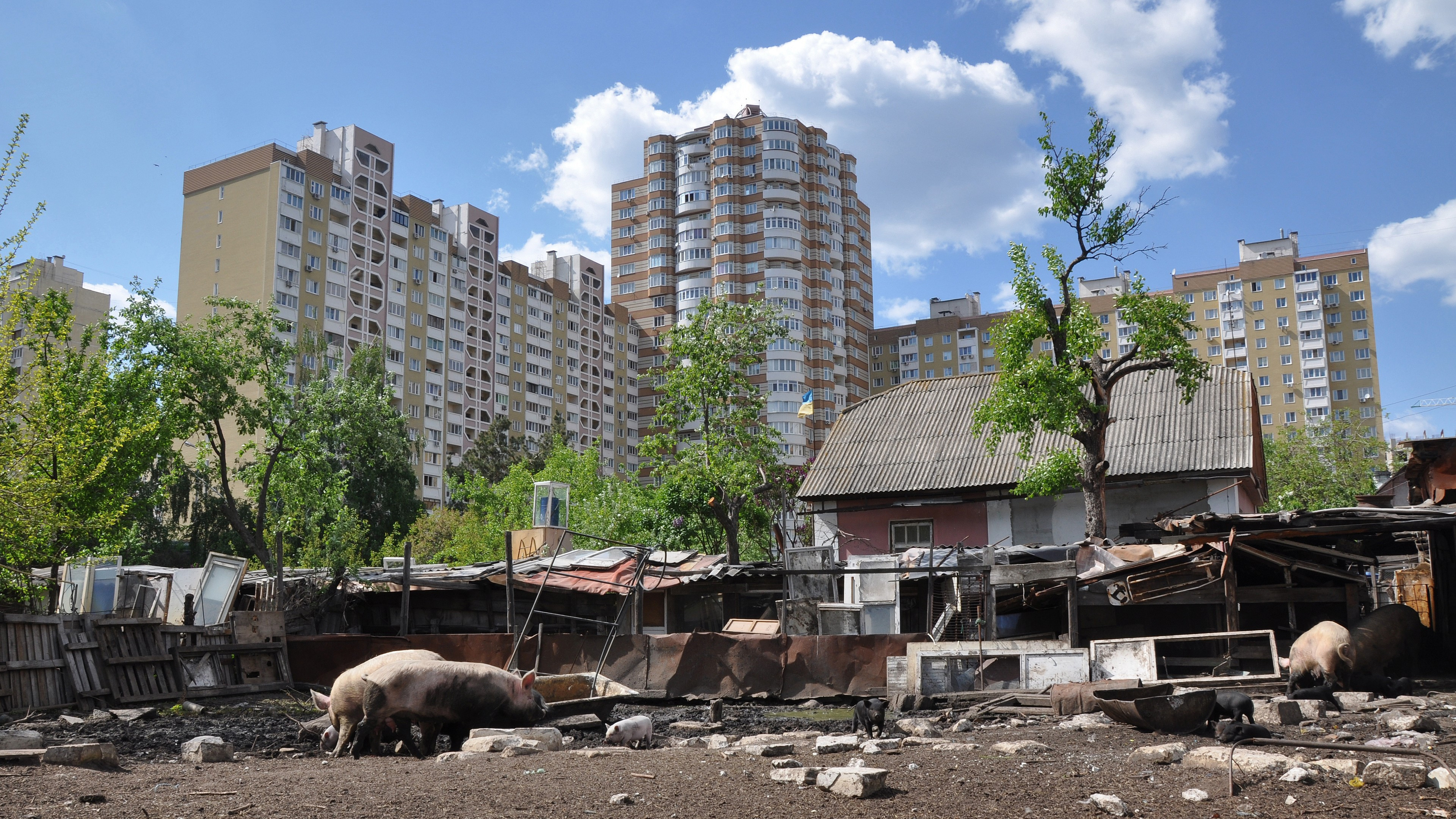 Backdrop for My Home