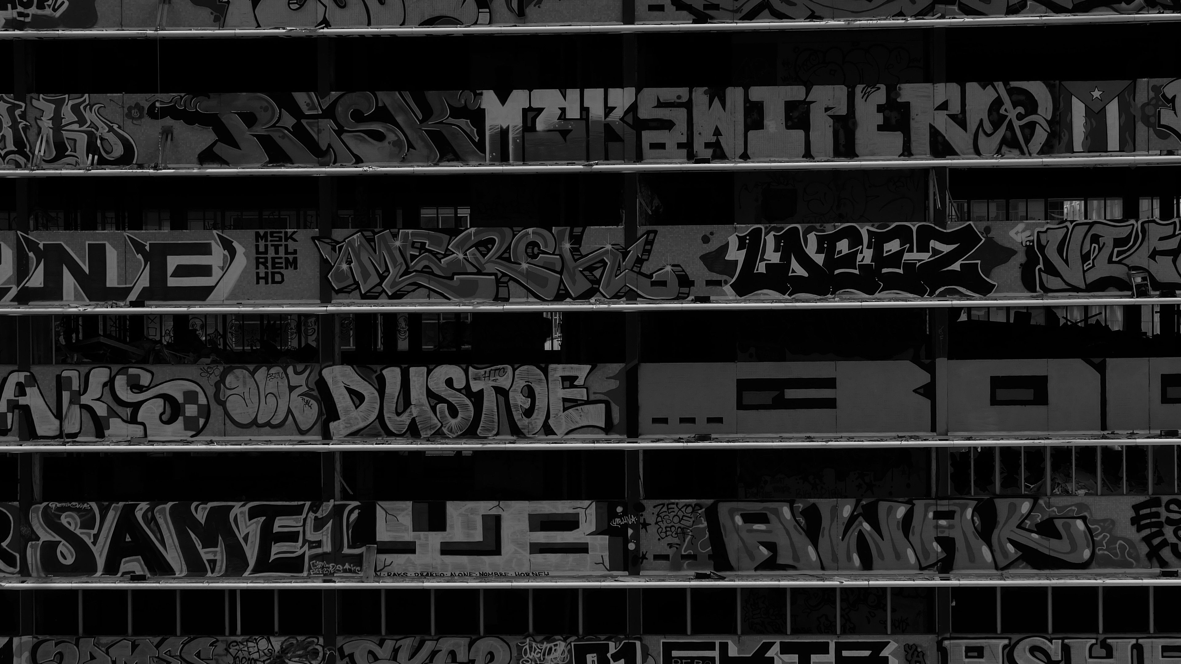 Backdrop for The Pig and the Society