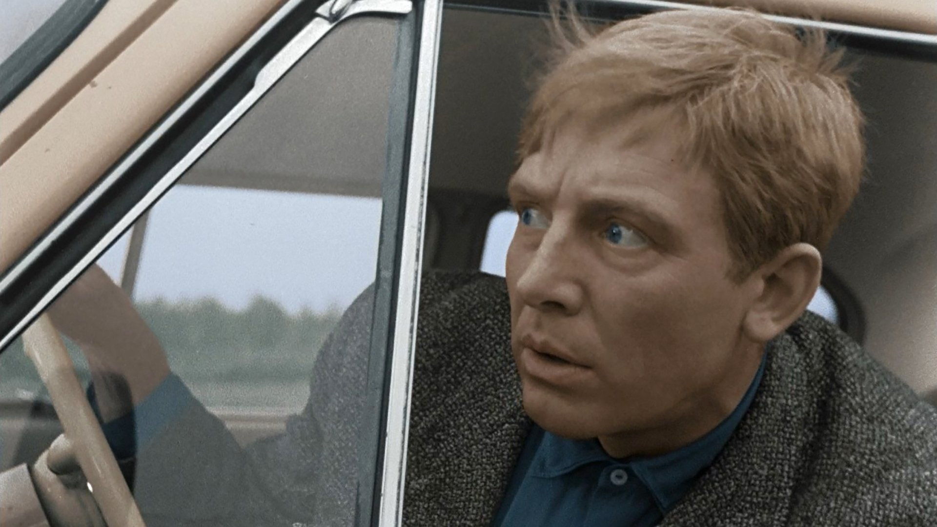 Backdrop for Beware of the Car!