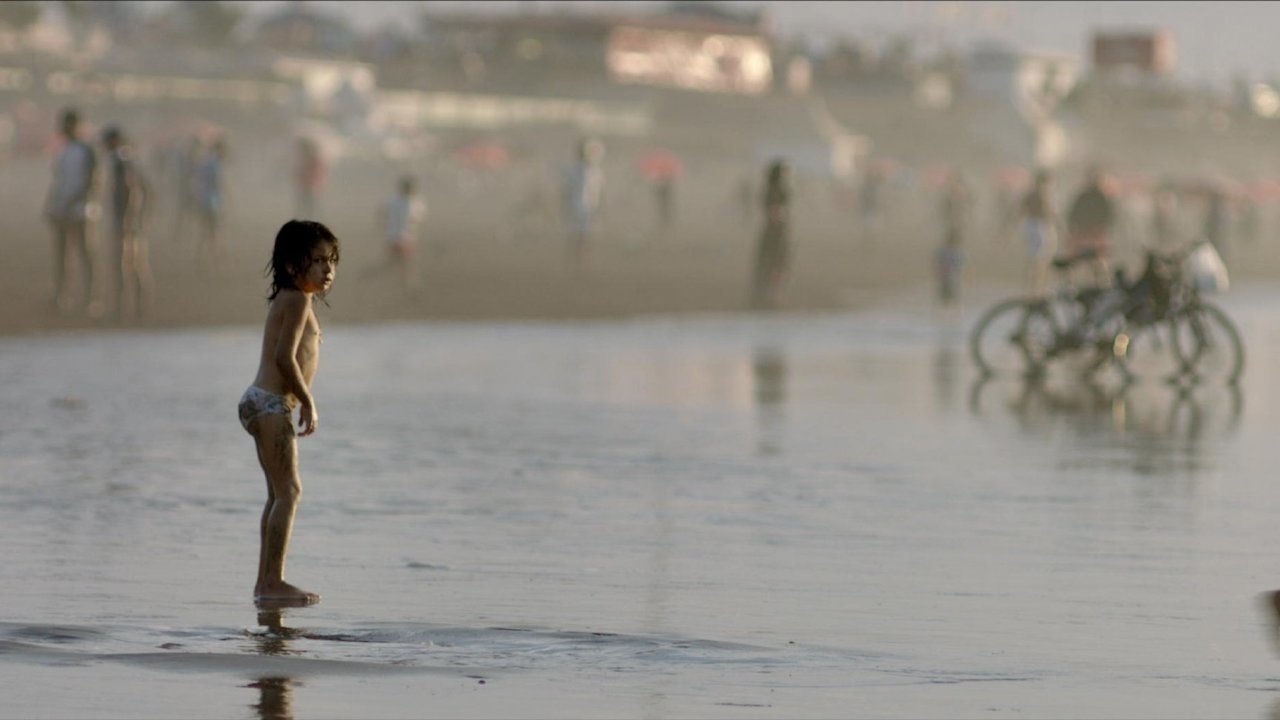 Backdrop for Plot 35