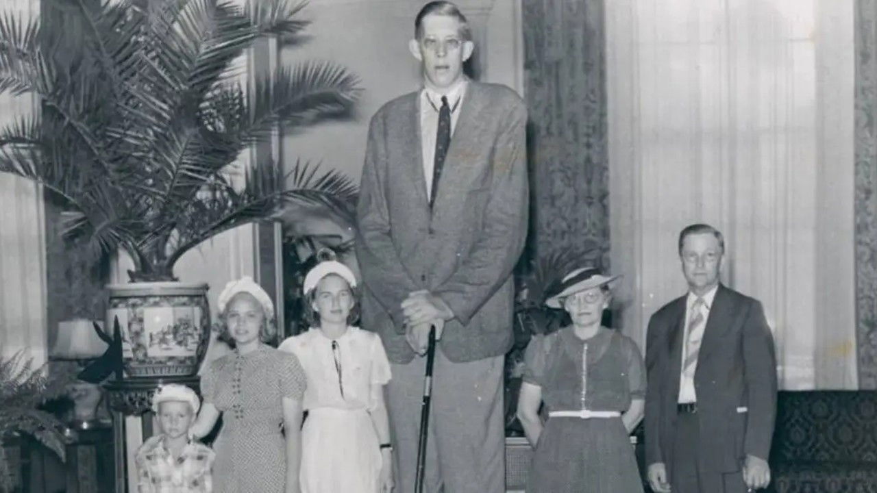 Backdrop for The Story of Robert