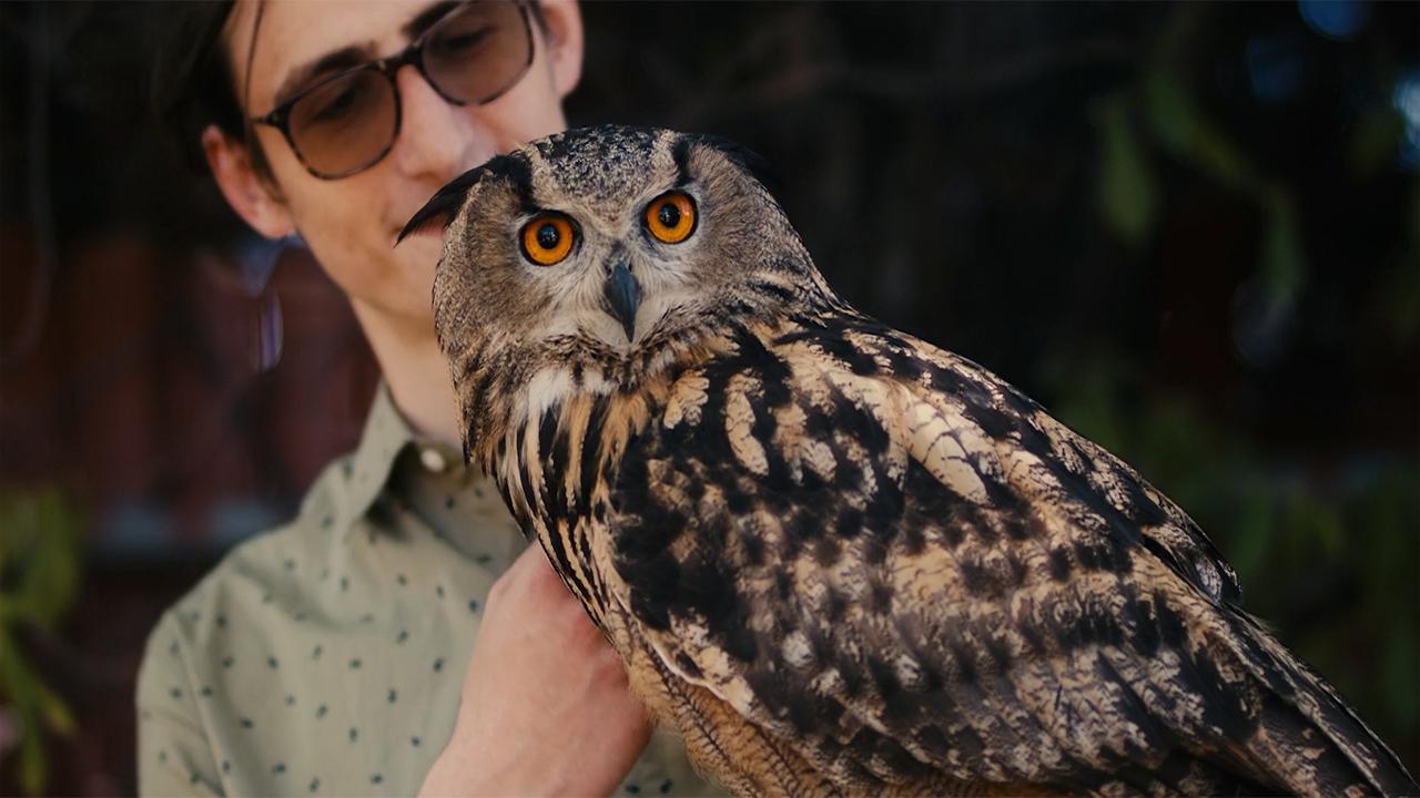 Backdrop for Rite of the Shaman