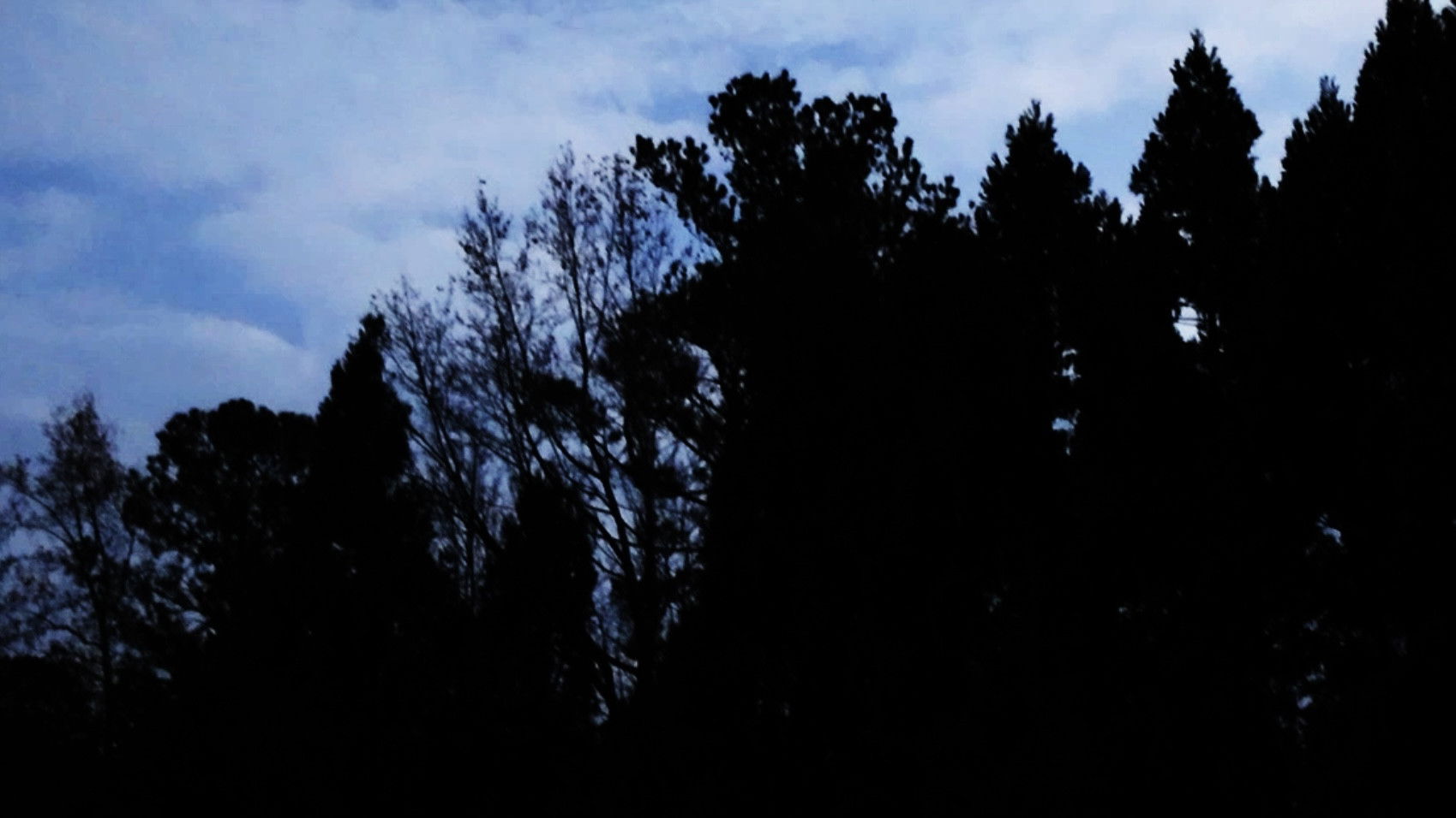 Backdrop for First Departure