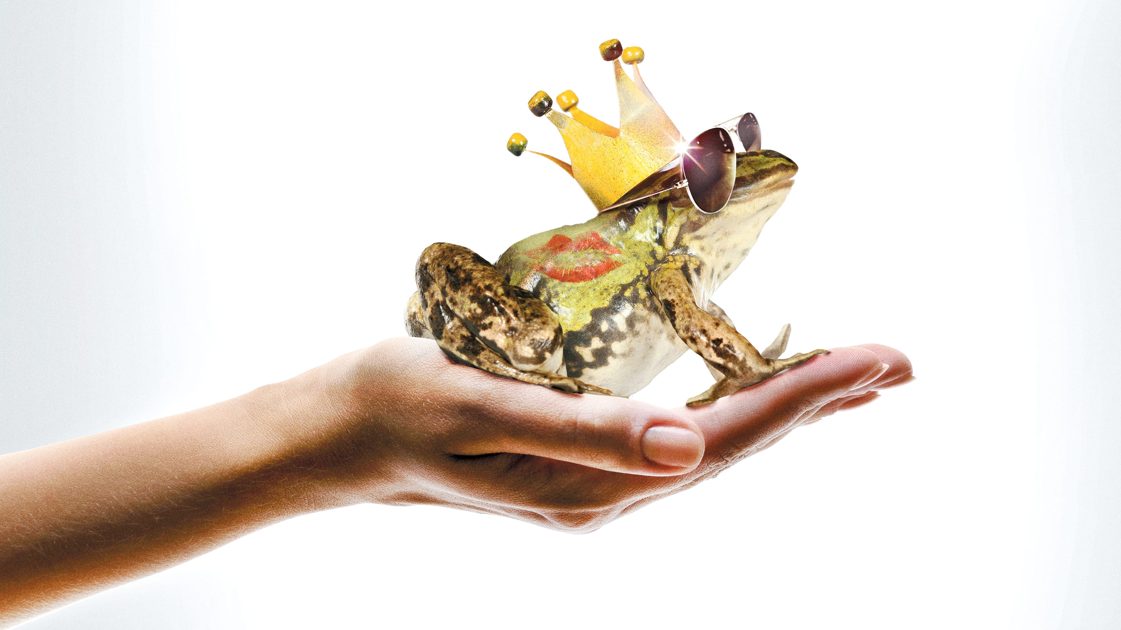 Backdrop for A Prince (almost) Charming