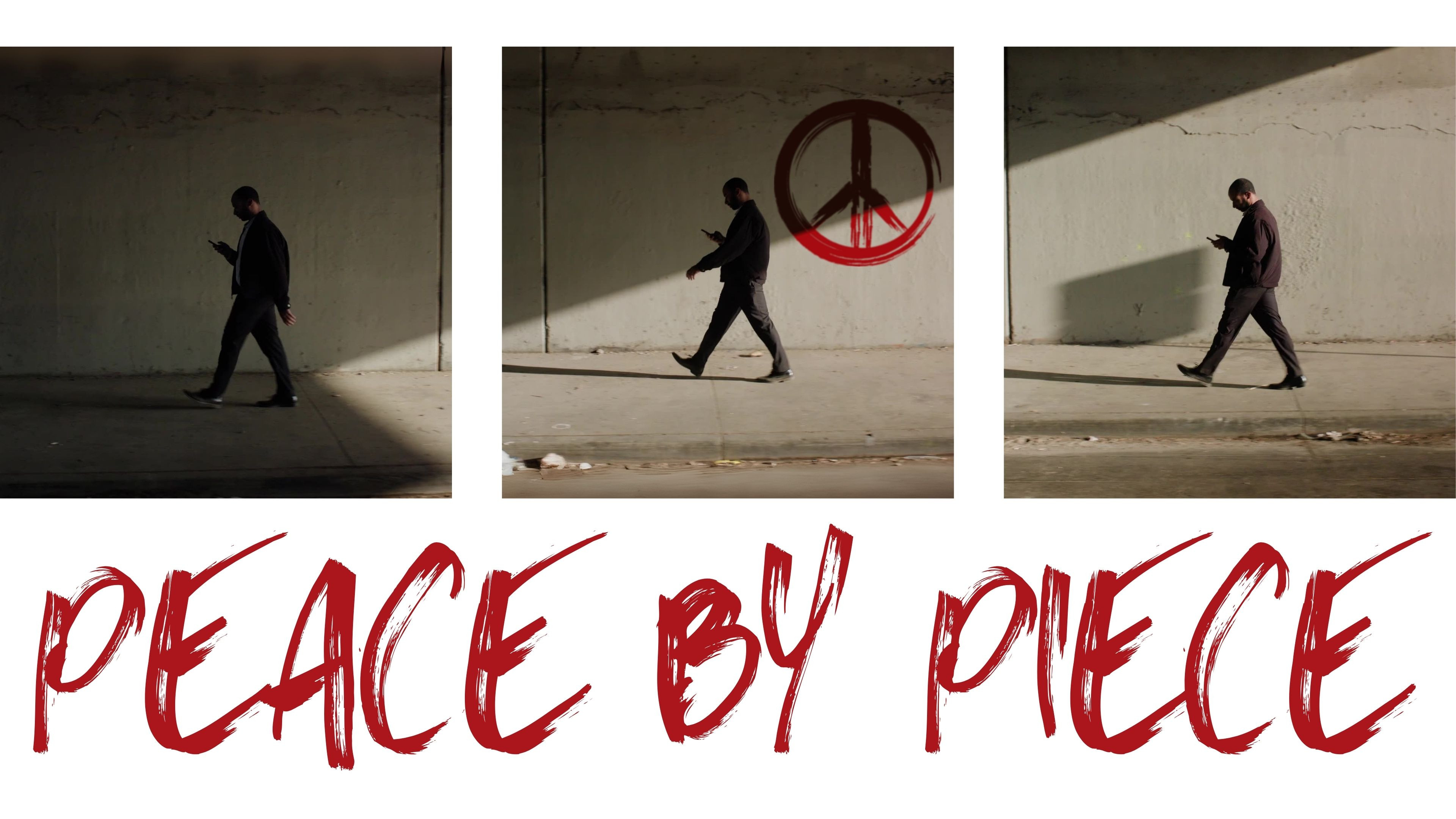 Backdrop for Peace by Piece