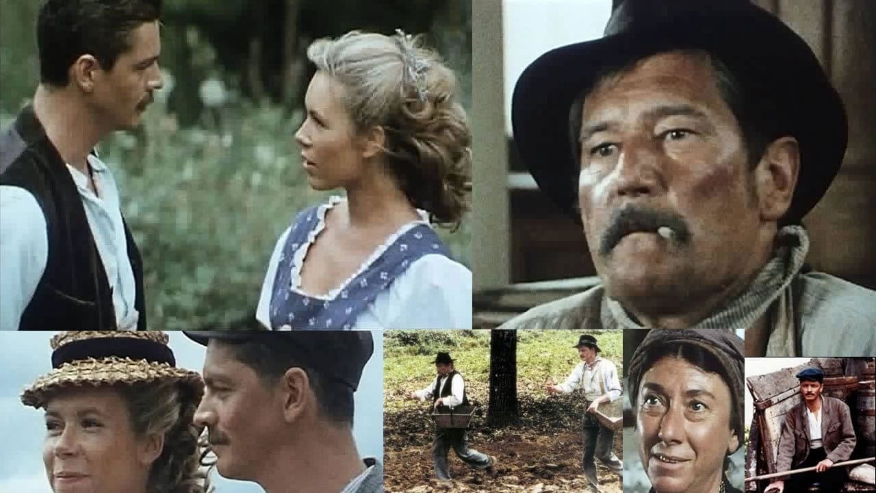 Backdrop for Des grives aux loups