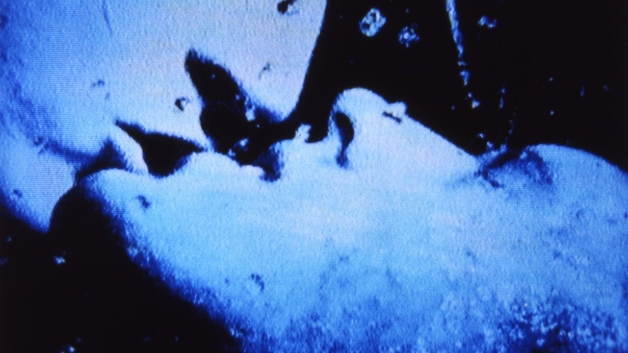 Backdrop for Self-Portrait in 23 Rounds: a Chapter in David Wojnarowicz’s Life, 1989–1991