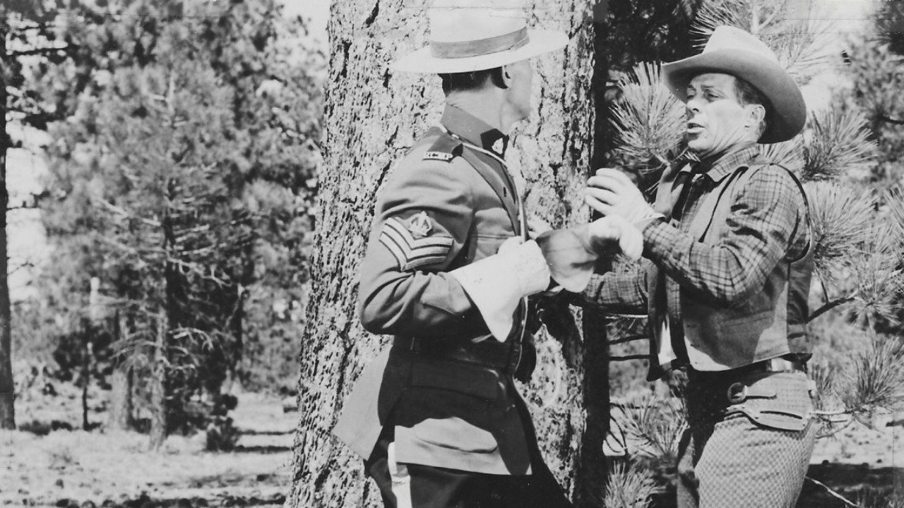 Backdrop for Perils of the Wilderness