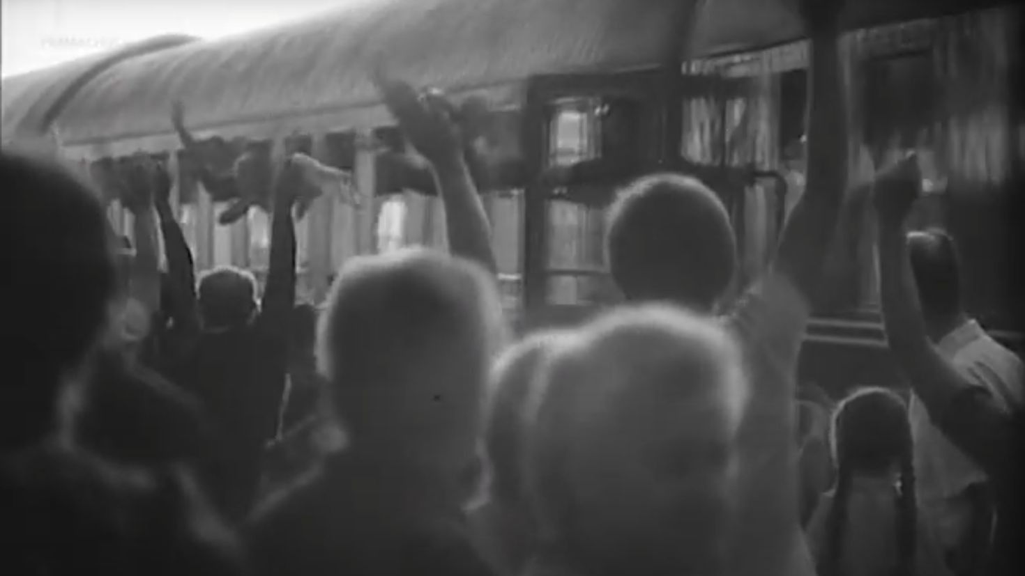 Backdrop for Tisztelt cím!