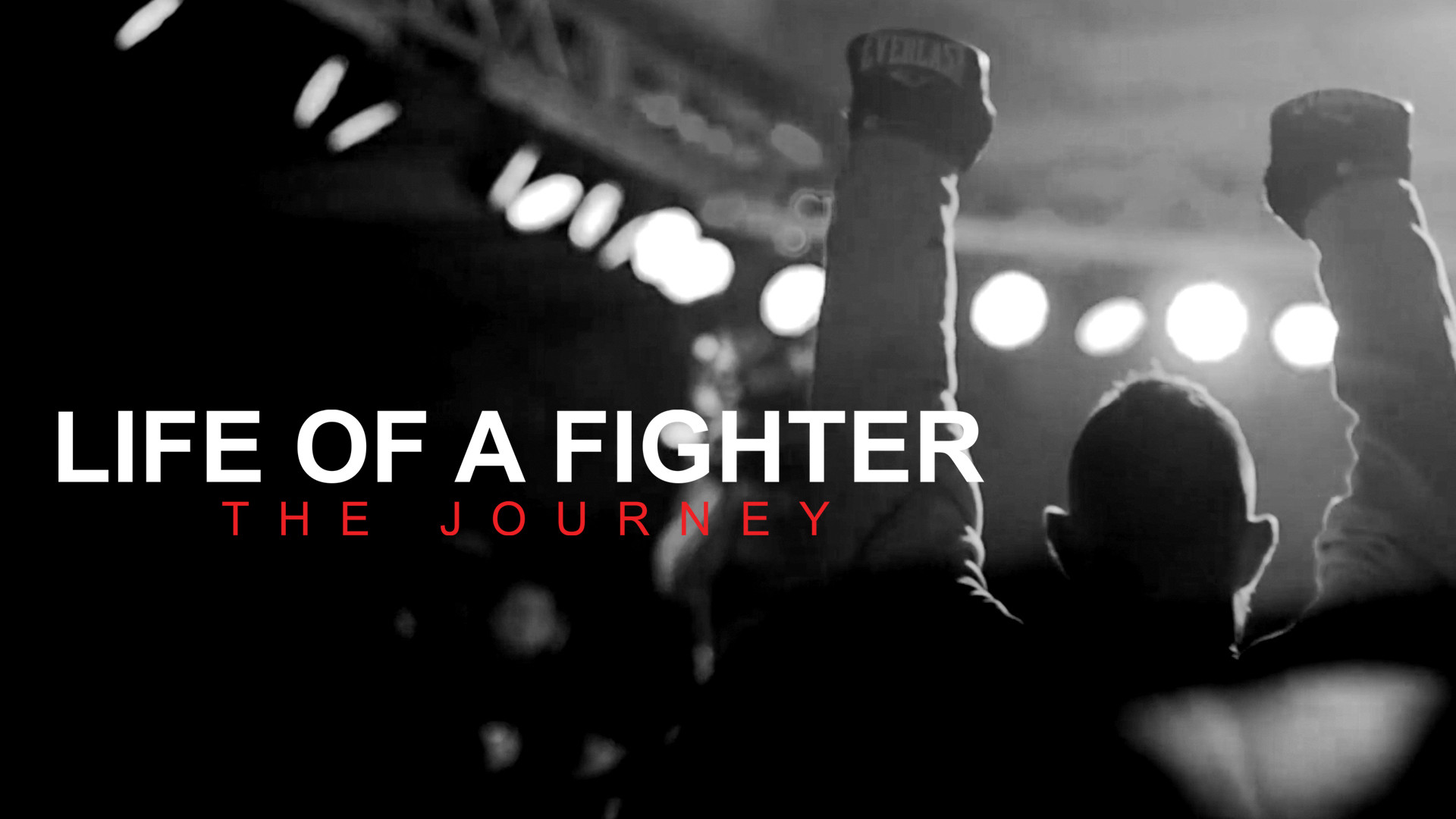 Backdrop for Life of a Fighter: The Journey