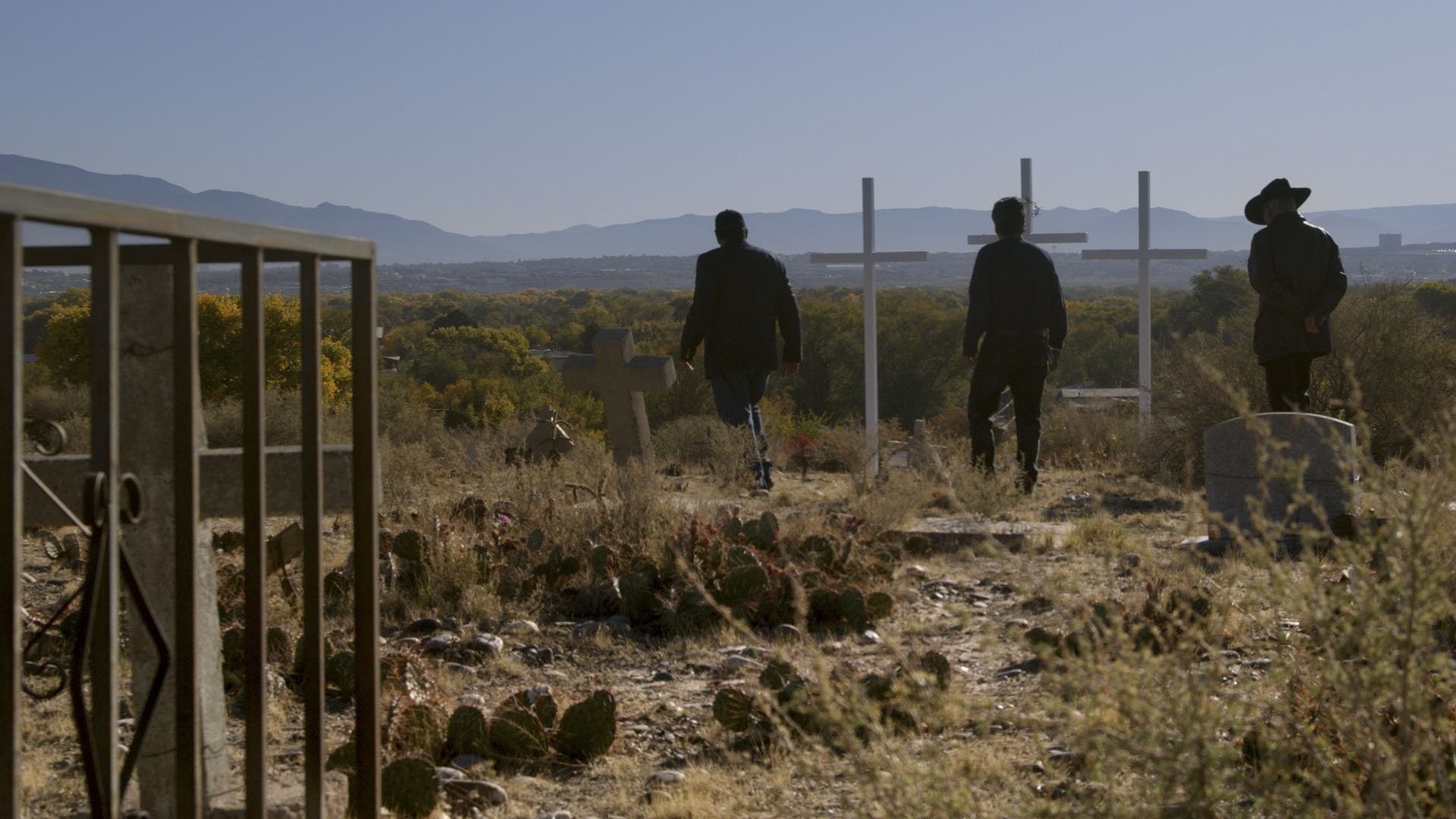 Backdrop for The Last Narc