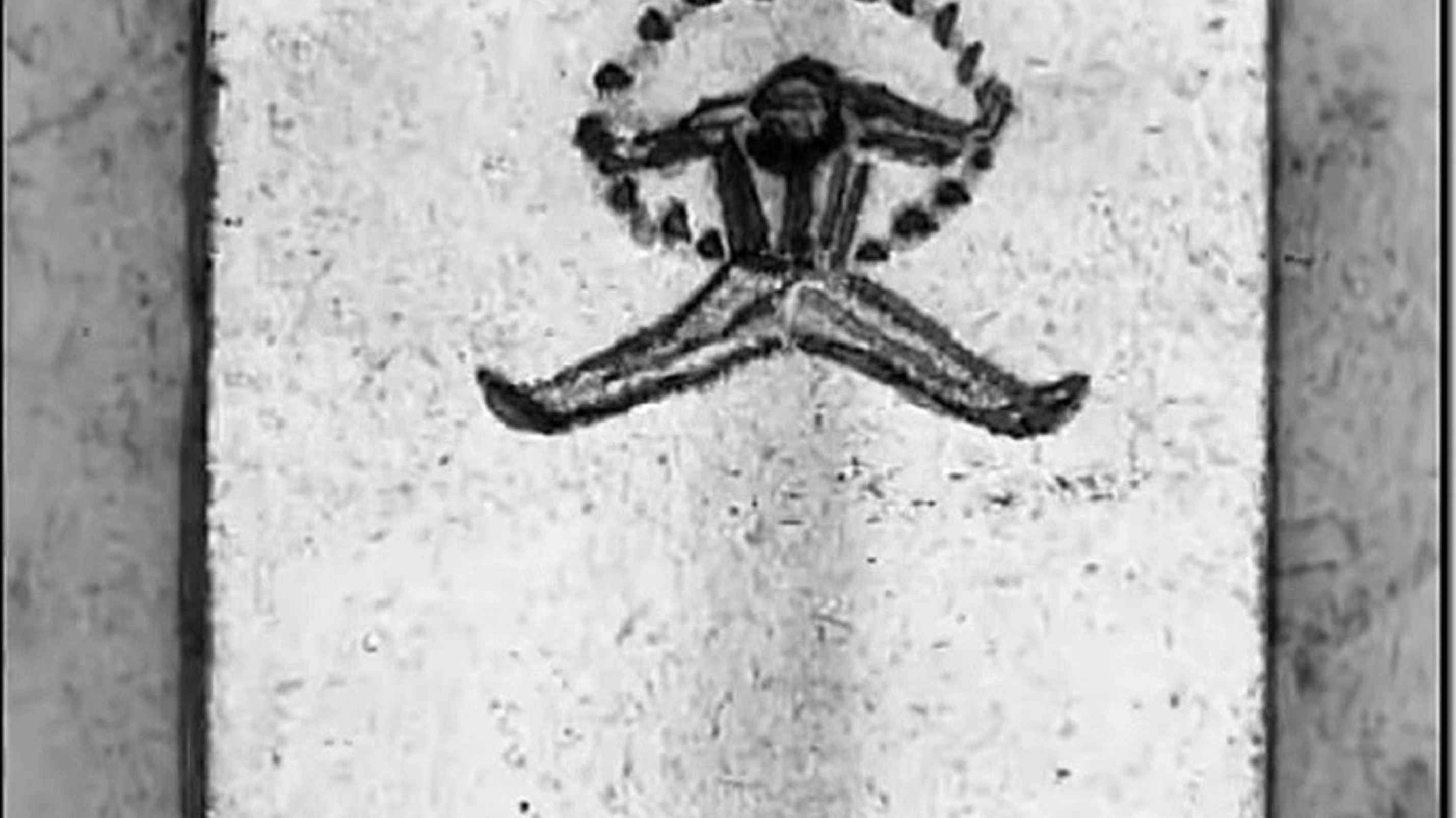 Backdrop for Buffon Dance