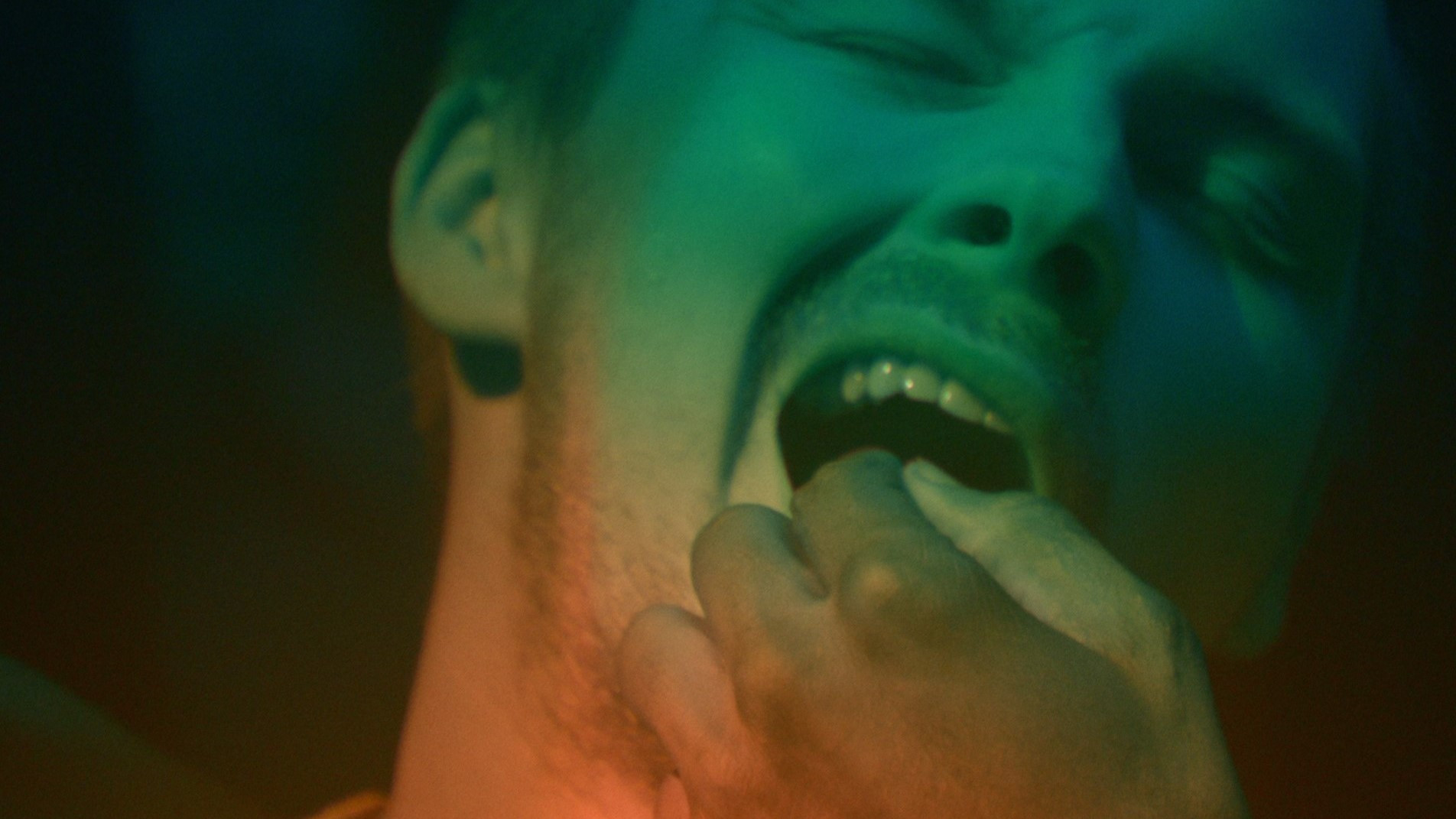 Backdrop for The Wisdom Tooth