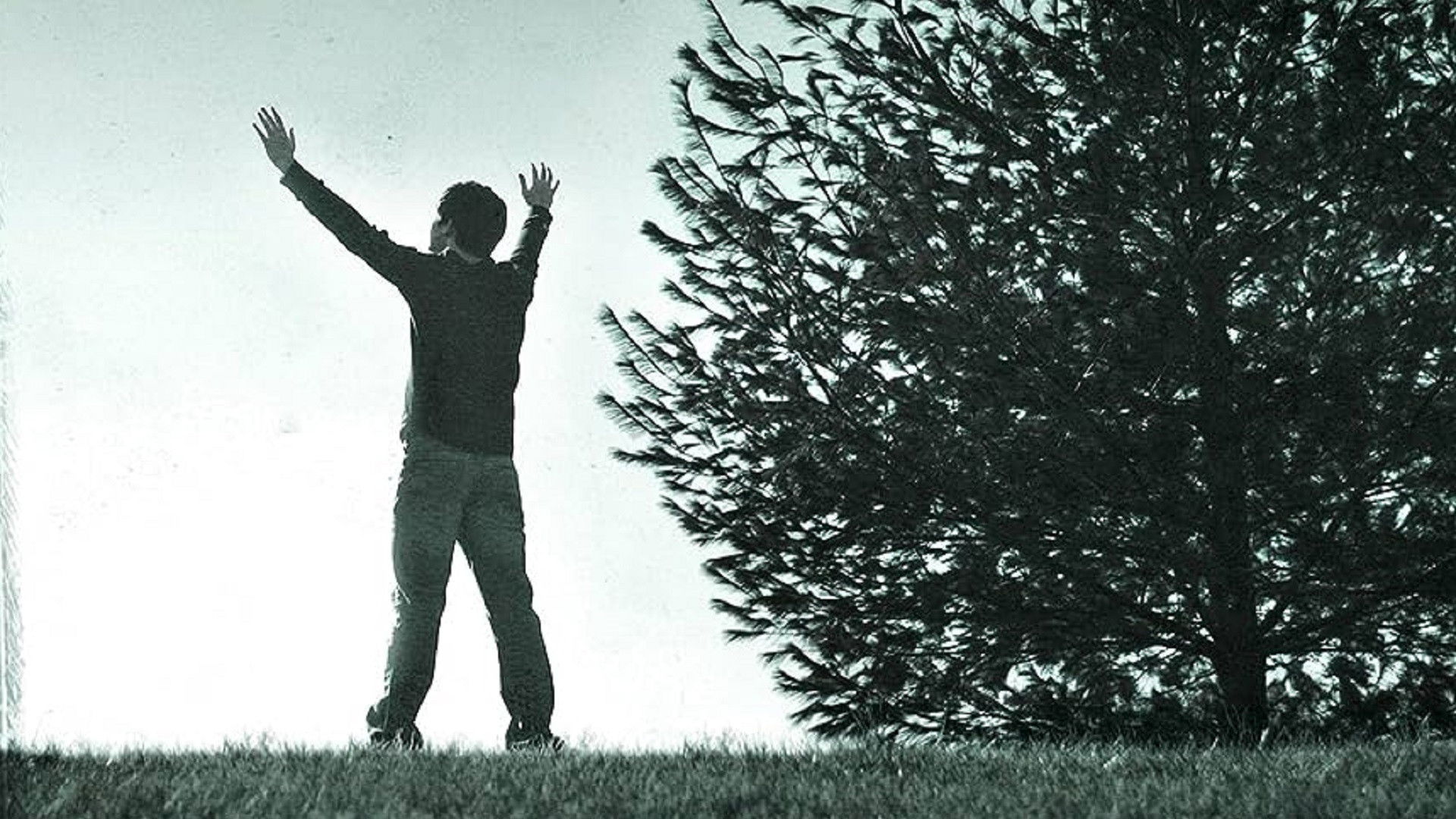 Backdrop for Neal Morse: The Making of Testimony Two