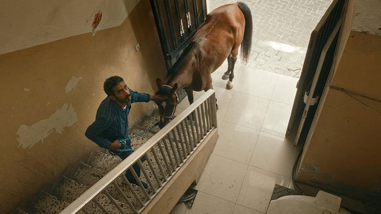 Backdrop for A Beautiful Excuse for a Deadly Sin