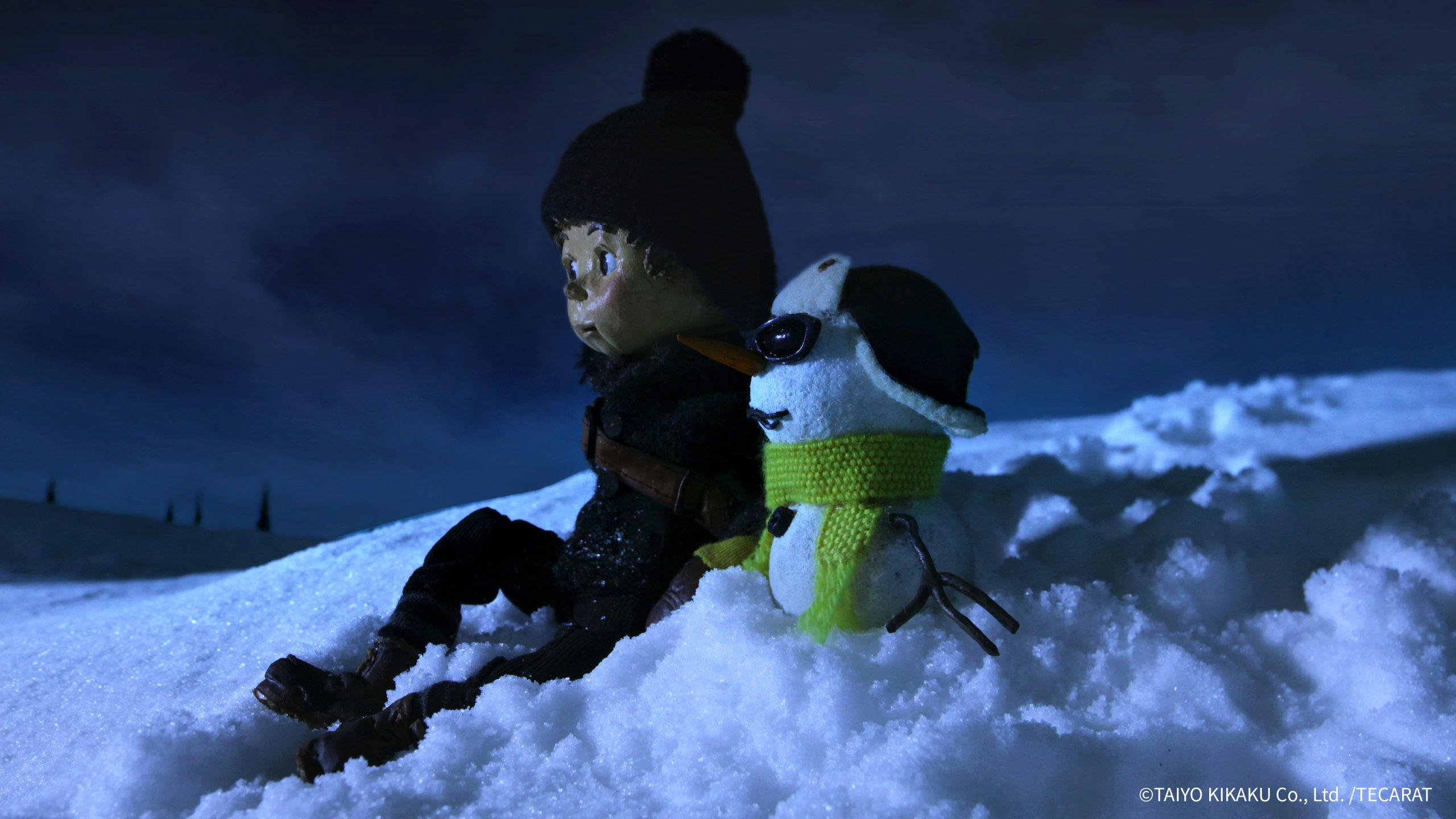 Backdrop for Norman the Snowman: On a Night of Shooting Stars