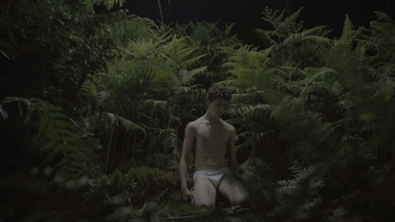 Backdrop for New Queer Visions: The Last Days of Innocence