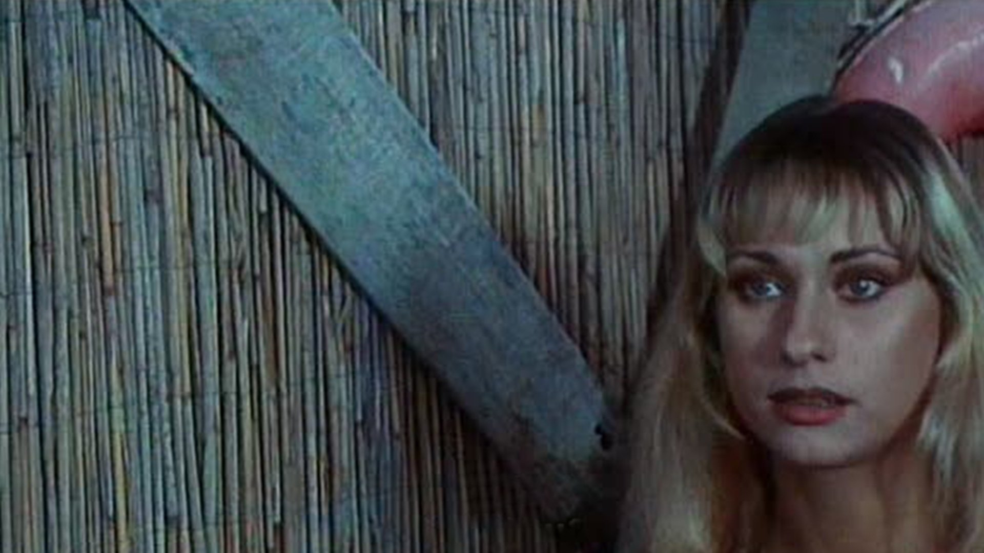 Backdrop for Hurry, the Schoolgirls Are Coming!