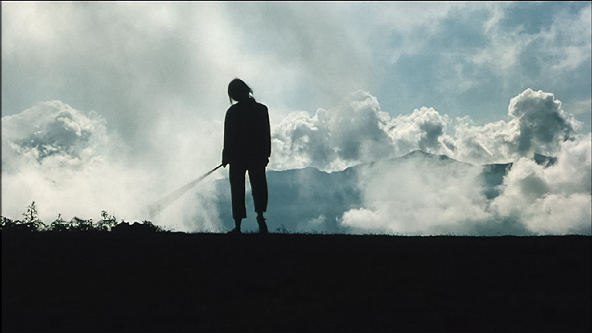 Backdrop for Cherries