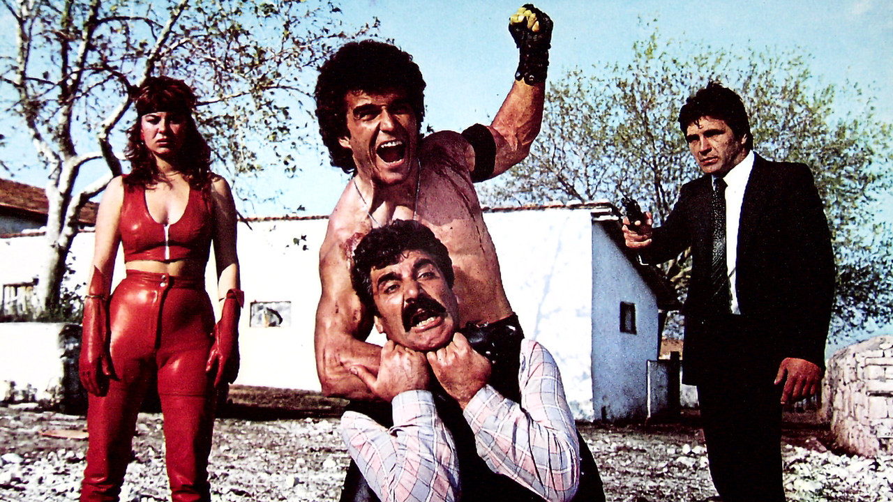 Backdrop for İntikamcı