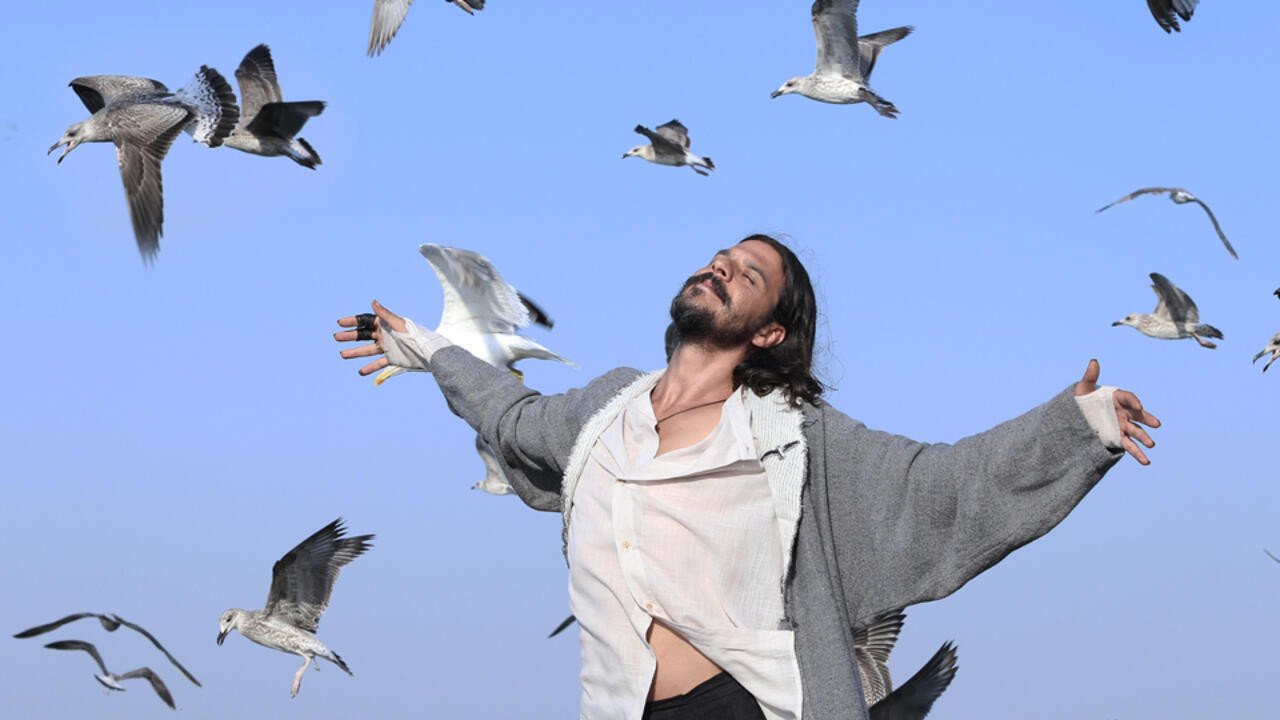 Backdrop for The Lord of the Seagull