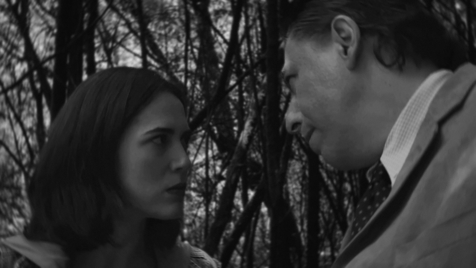 Backdrop for Spells and Magicians Chapter Five: The Miracle of Deforestation