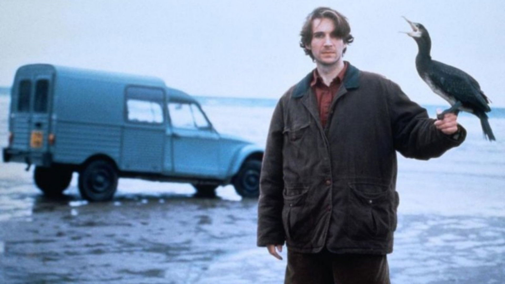 Backdrop for The Cormorant