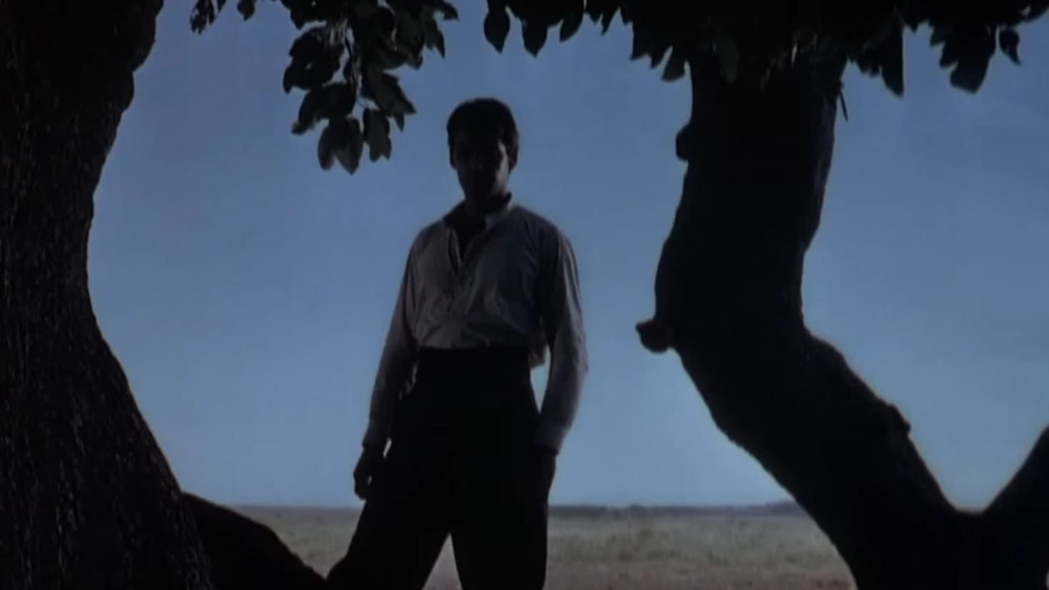 Backdrop for Way of a Gaucho