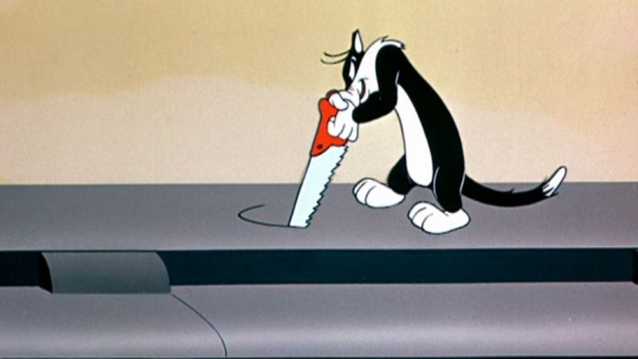 Backdrop for All a Bir-r-r-d