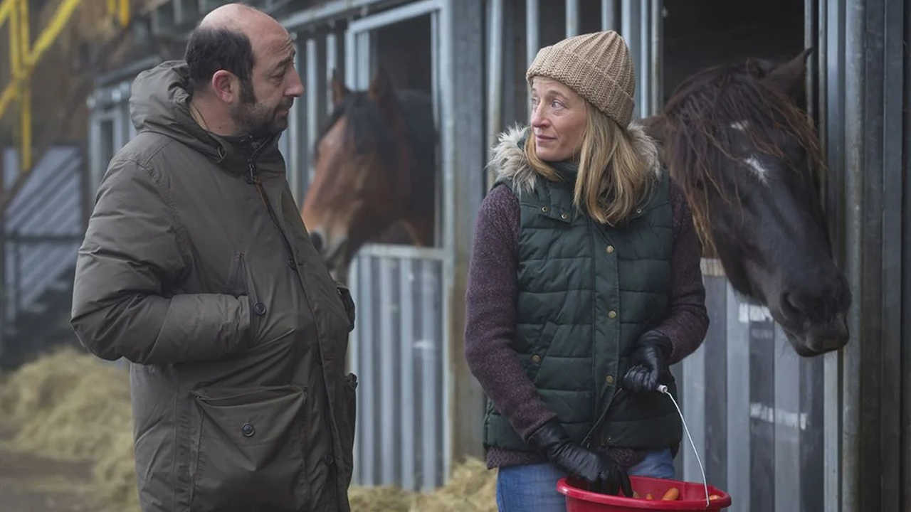 Backdrop for Disappeared in Winter