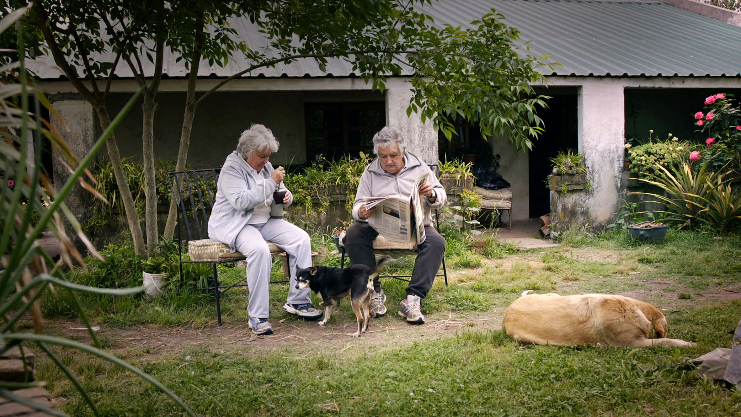 Backdrop for Pepe Mujica: Lessons From the Flowerbed