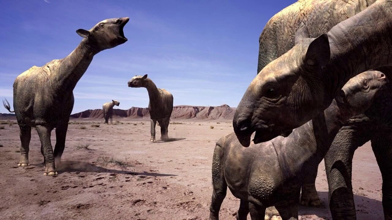 Backdrop for Walking with Beasts