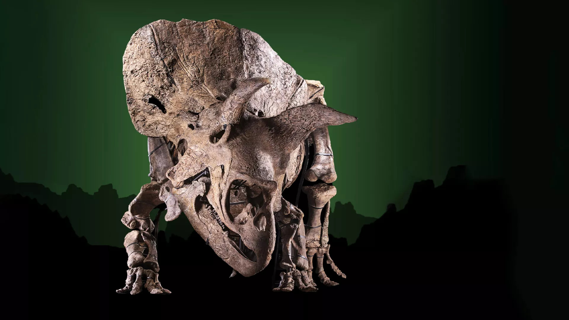 Backdrop for Jurassic Cash