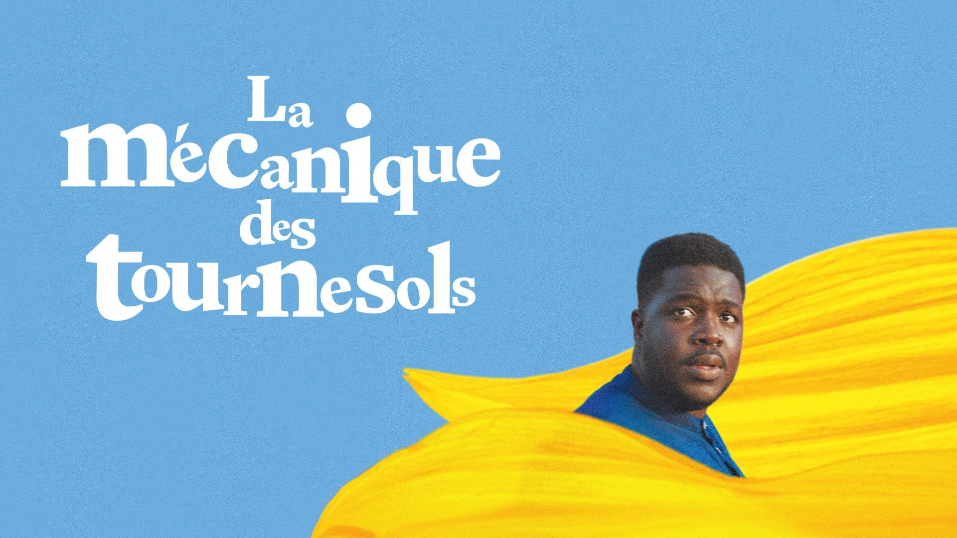 Backdrop for La mécanique des tournesols