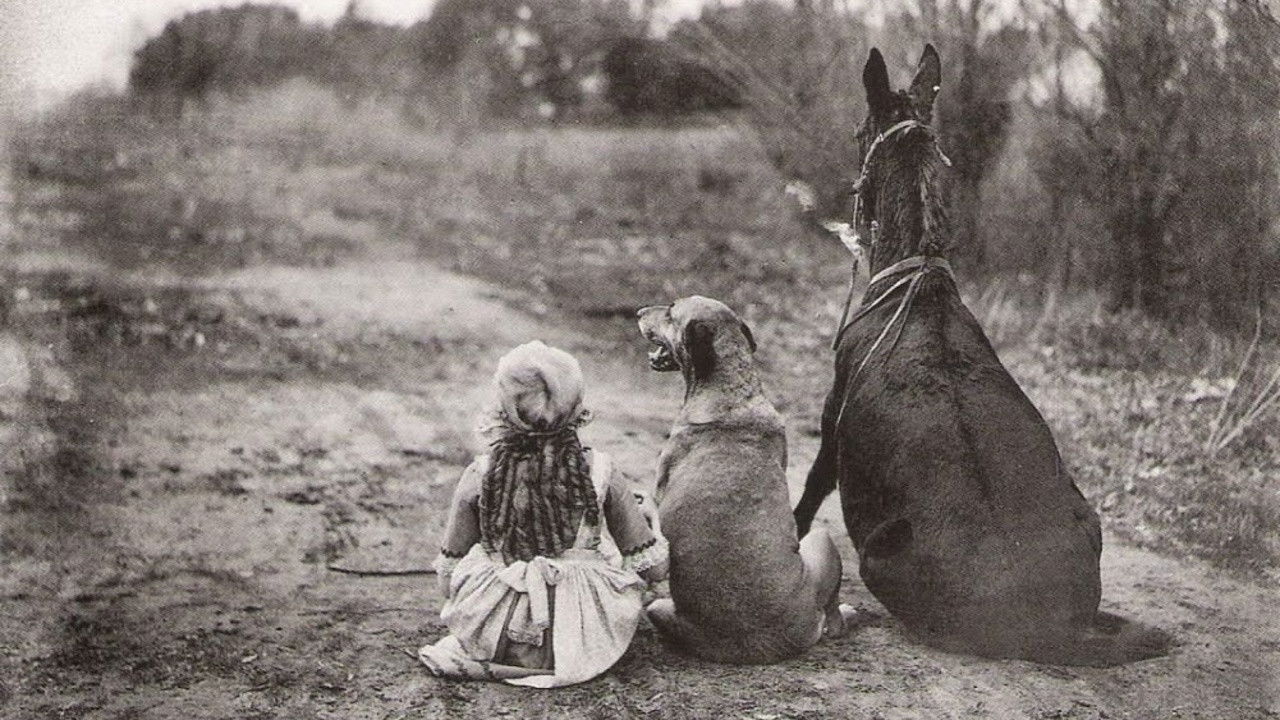 Backdrop for Through the Back Door