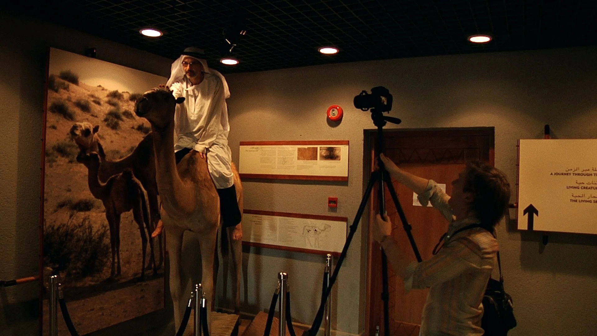 Backdrop for The Sheik and I