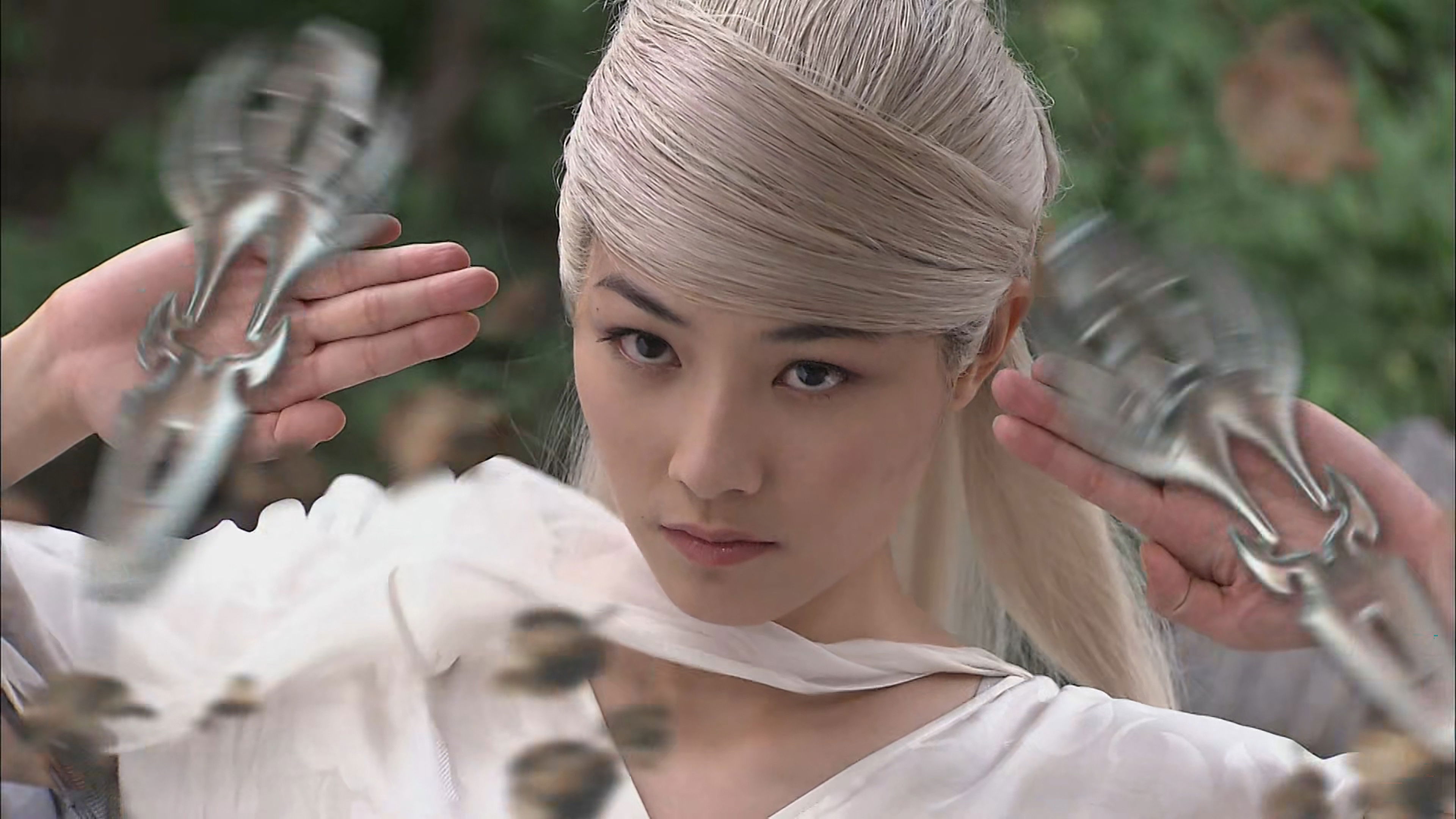 Backdrop for Imperial Four Treasures