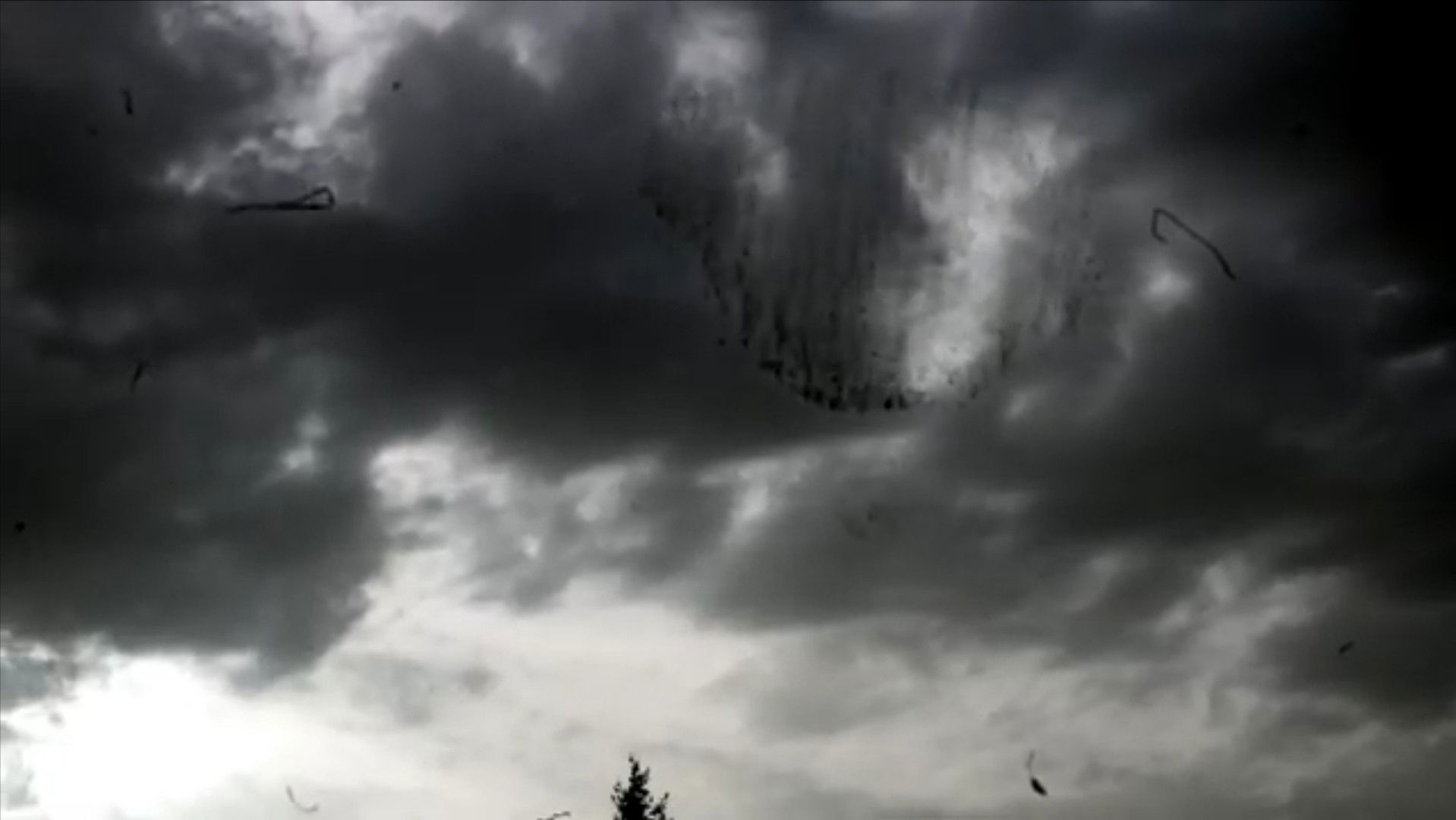 Backdrop for Variations on Iserois Landscapes