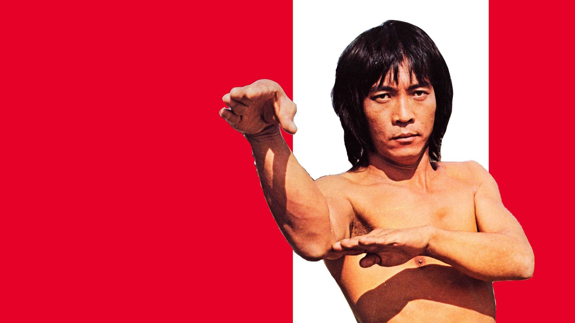 Backdrop for Buddhist Fist and Tiger Claws